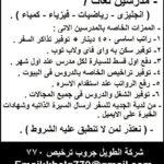 وظيفة