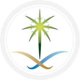 الهيئة العامة للأرصاد وحماية البيئة