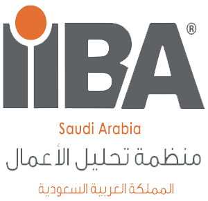 منظمة تحليل الأعمال